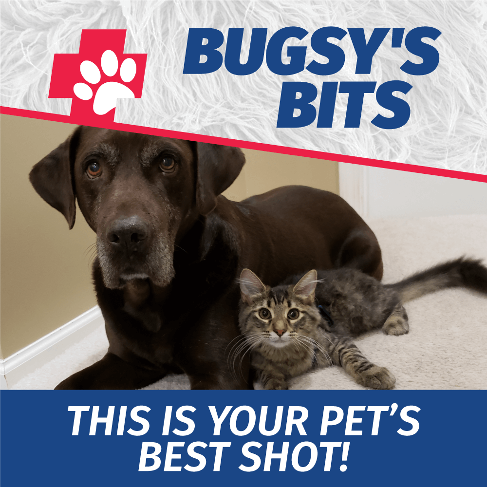 Bugsy’s Bits: This Is Your Pet’s Best Shot!