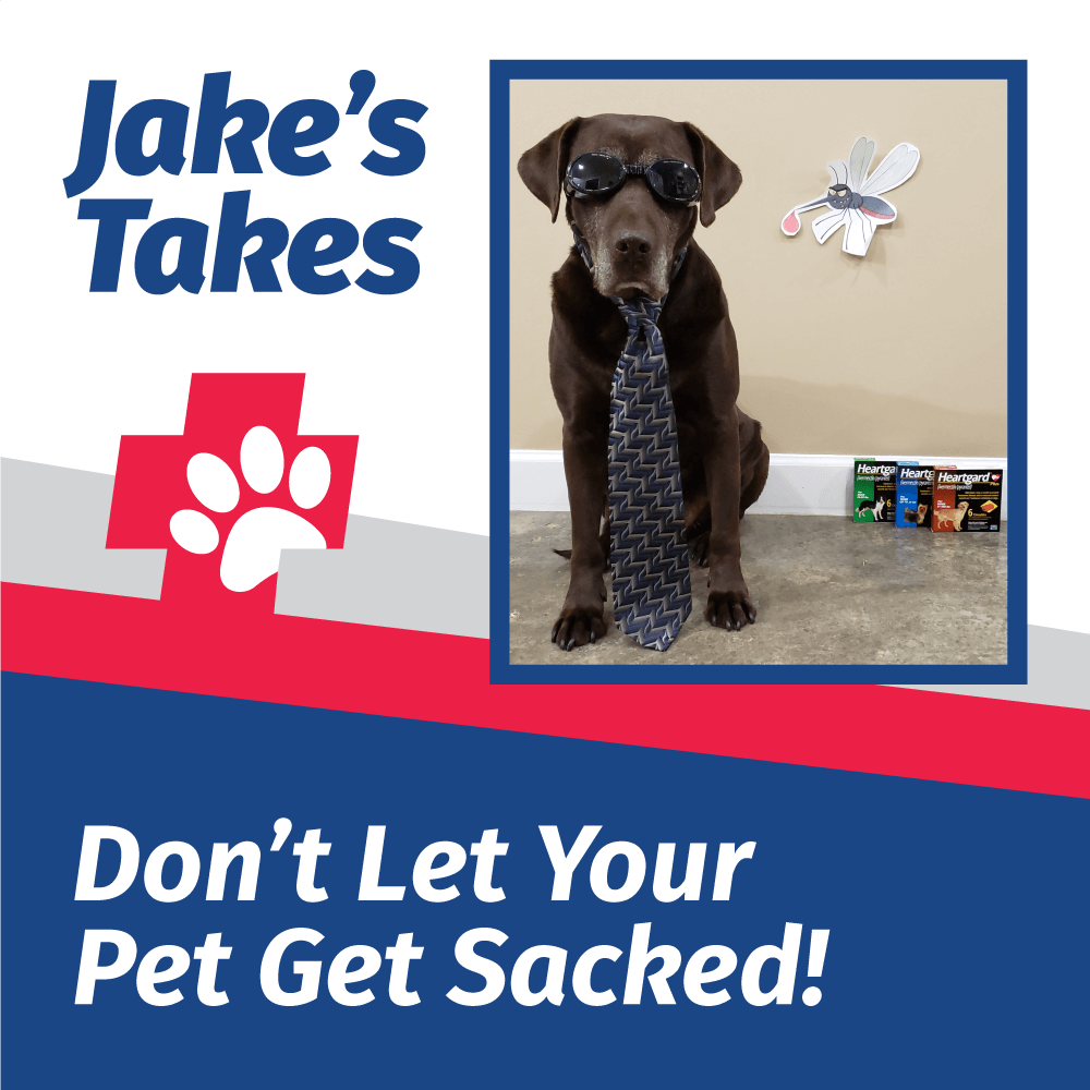 Jake’s Take: Don’t Let Your Pet Get Sacked!