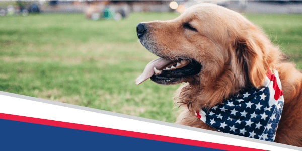 4 for the 4th: Pet Safety Tips