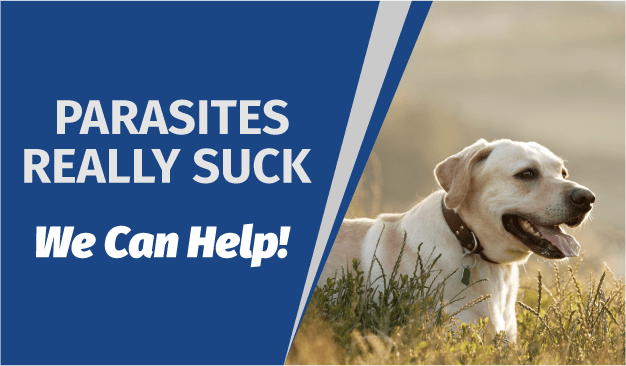 Parasites Really Suck. We Can Help!