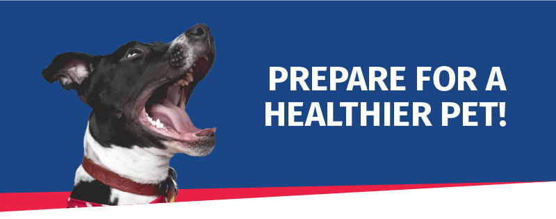 Prepare for a Healthier Pet!